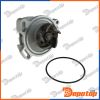 Pompe à eau pour VW | CPW-WW-023, 021121004